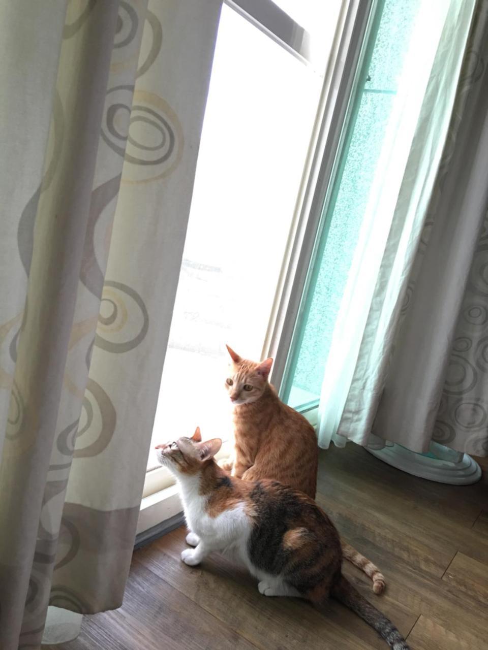Beauty Home Homestay Hualien City Ngoại thất bức ảnh